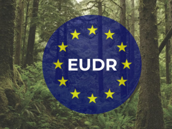 Nariadenie EÚ o odlesňovaní (EUDR): Čo potrebujete vedieť